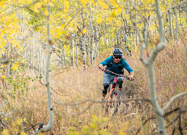 Mountain biker going down a path with yellow blooms around him.