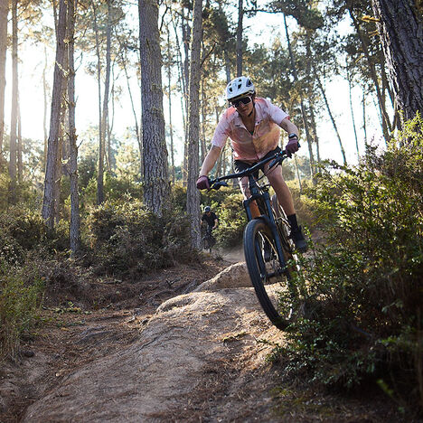 Biker riding down a trail on a sunny day