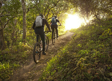 Bike riders using mule hydration packs on a trail in the woods. 