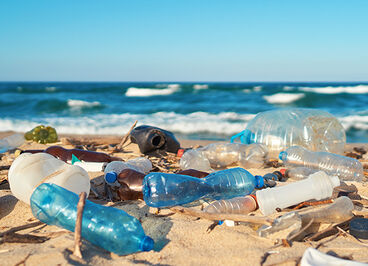 Plastic bottles washed up on a beach.