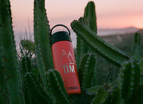 Wild Strawberry Fit Cap laying on a cactus