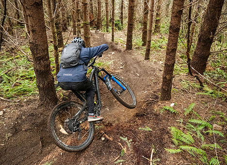 A mountain biker on a trail