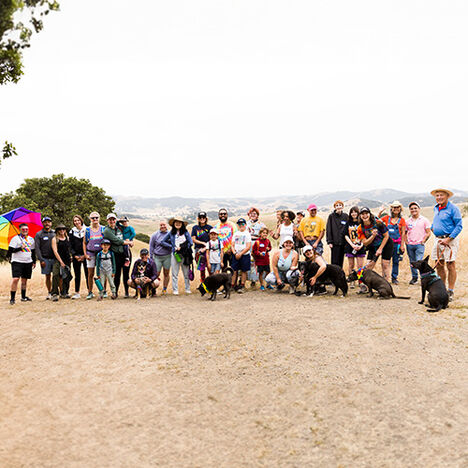 A group of friends out at a Pride walk