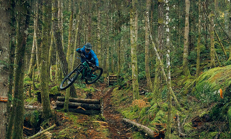 Mountain biker hitting a jump while goin down a forest trail Mountain biker hitting a jump while goin down a forest trail