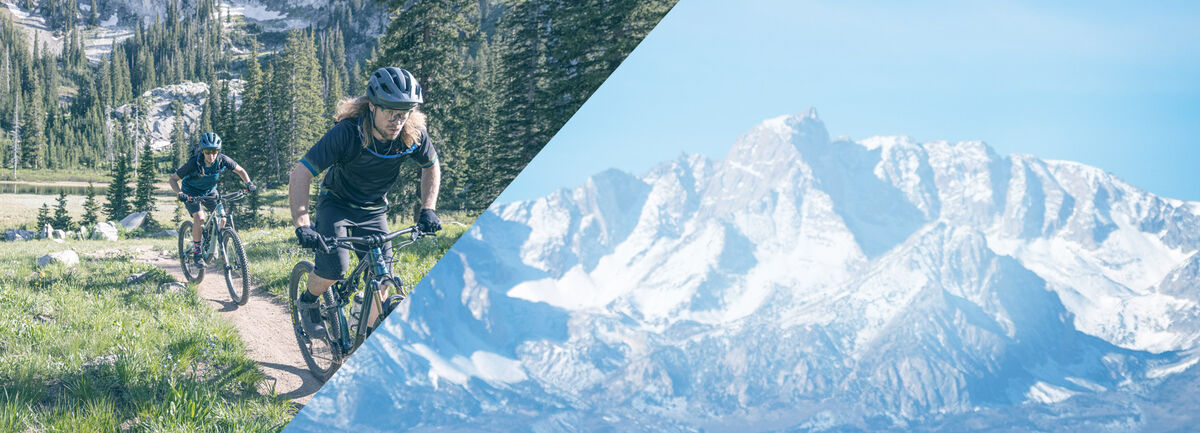 A two mountain bikers riding in a forrest.