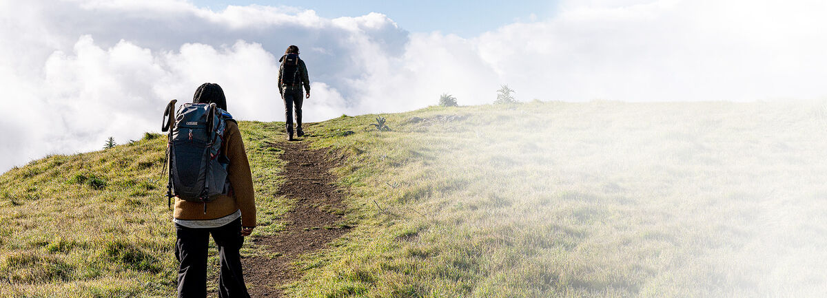 Two hikers going up a trail.