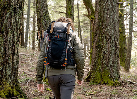 Hiker walking down a forest trail.