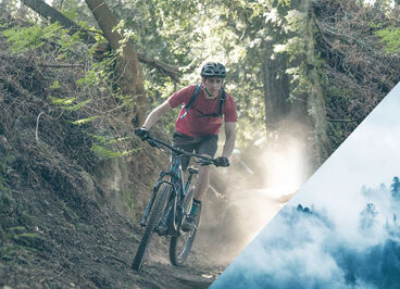 Man mountain biking in the woods.