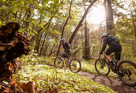 Two mountain bikers going through a trail in the woods.