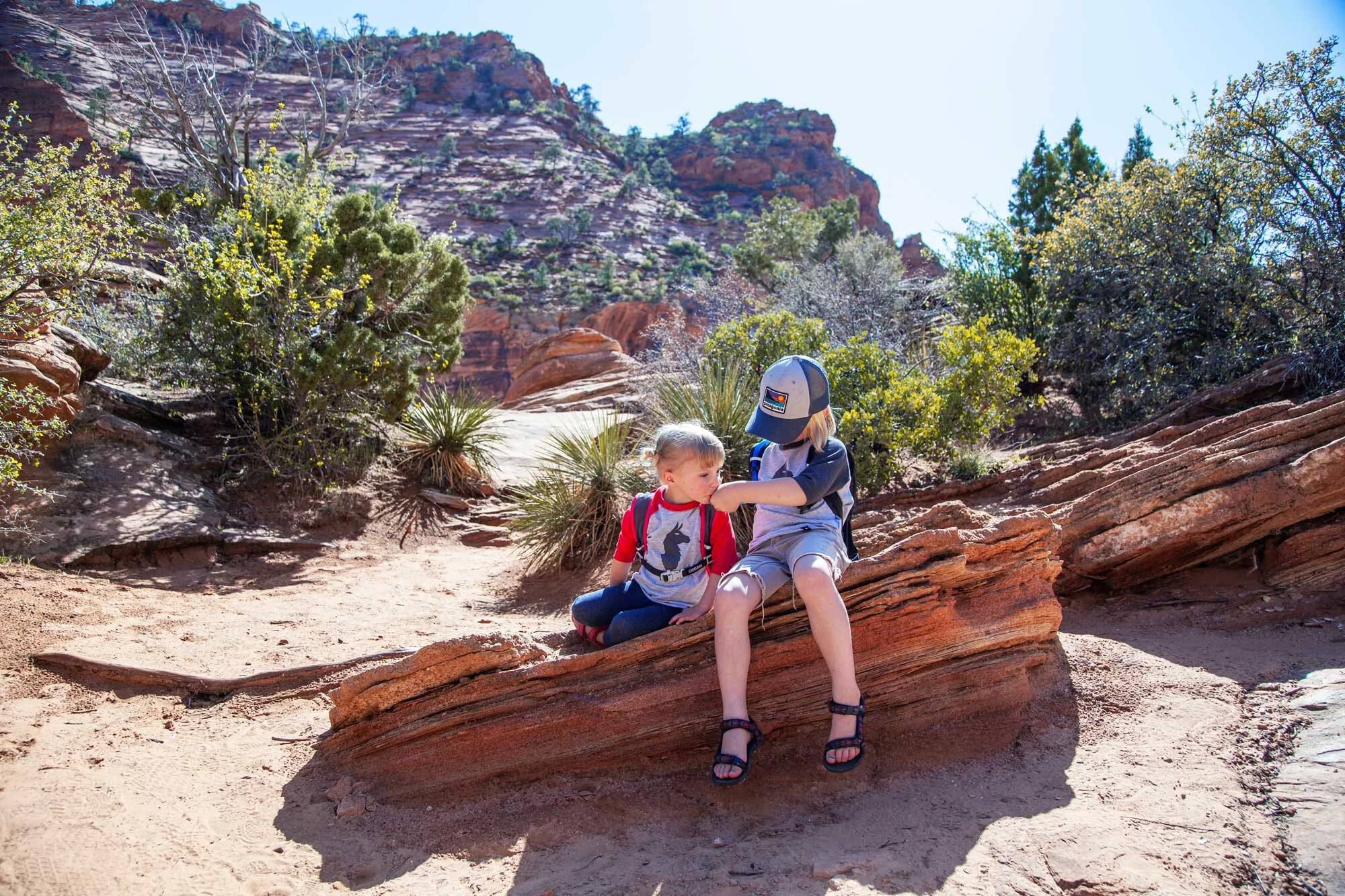 Camelbak scout deals hydration pack
