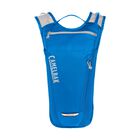Rogue Light 70oz