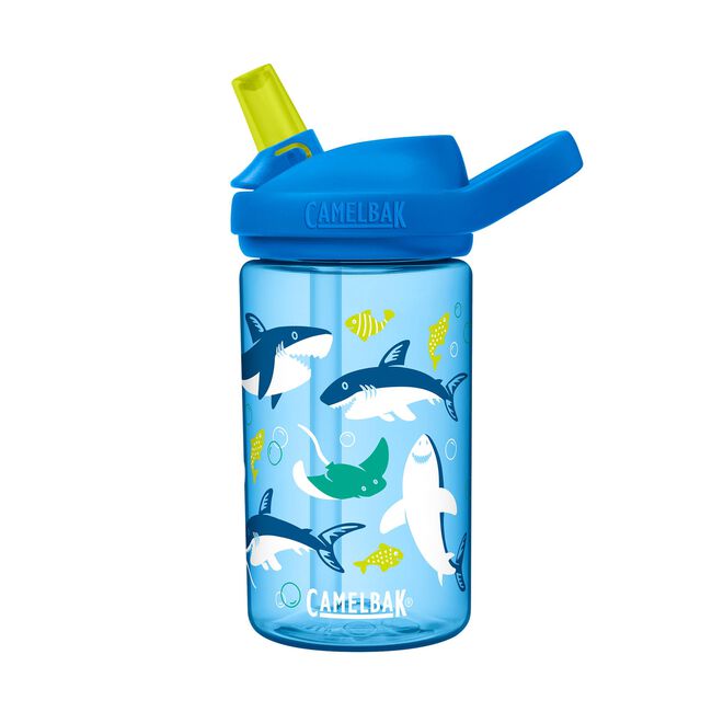 CamelBak Eddy Kids Water Bottle Review 