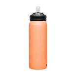 Eddy+ 25oz Water Bottle, Insulated Stainless Steel