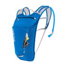 Rogue Light 70oz