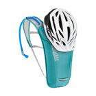 Rogue Light 70oz