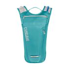 Rogue Light 70oz