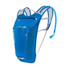 Rogue Light 70oz