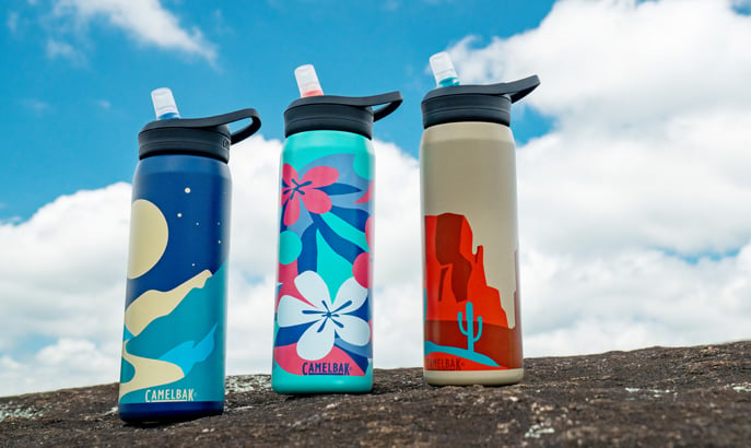 A row of 3 limited edition Eddy Stainless Steel water bottles lined up on a boulder.